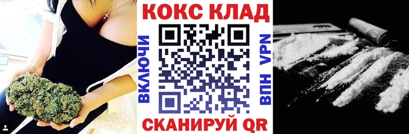 Купить закладки  Нижние Серги  COCAIN 99% 