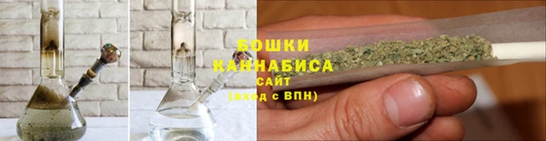 ПСИЛОЦИБИНОВЫЕ ГРИБЫ Гусев