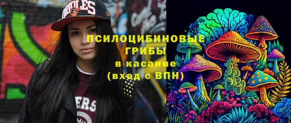 крисы Горно-Алтайск