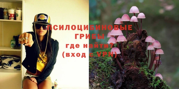 MDMA Горнозаводск
