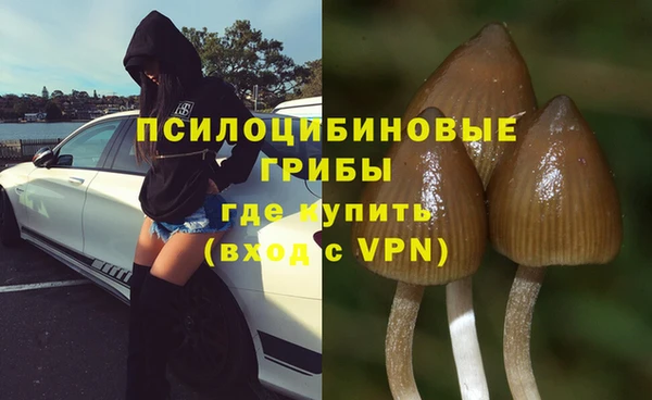 MDMA Горнозаводск