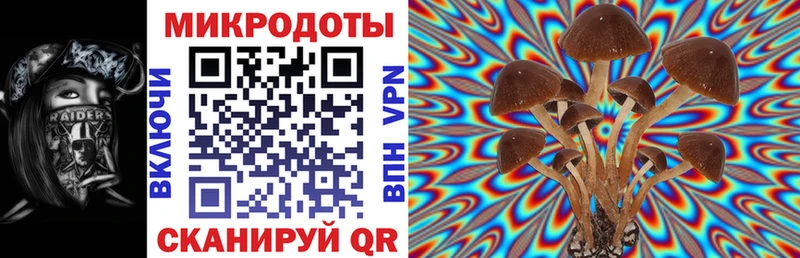 Купить закладки  Нижние Серги  Псилоцибиновые грибы MAGIC MUSHROOMS 